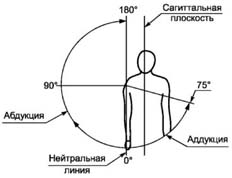 4036